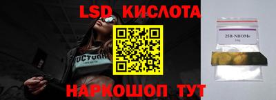 шишки Жуковский