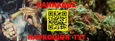 шишки Жуковский
