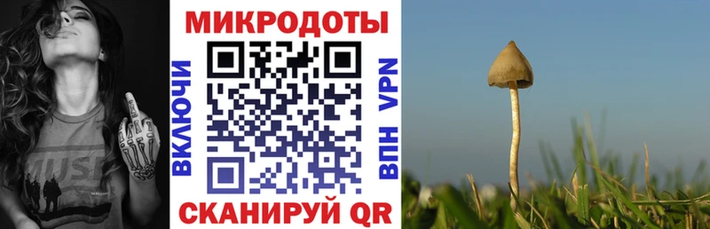 Галлюциногенные грибы ЛСД мега tor Усть-Лабинск
